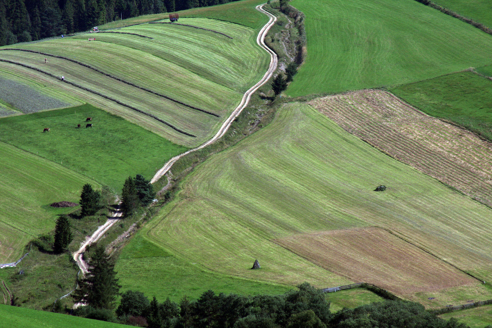 MirekKrajewski FamilyNewsService 2