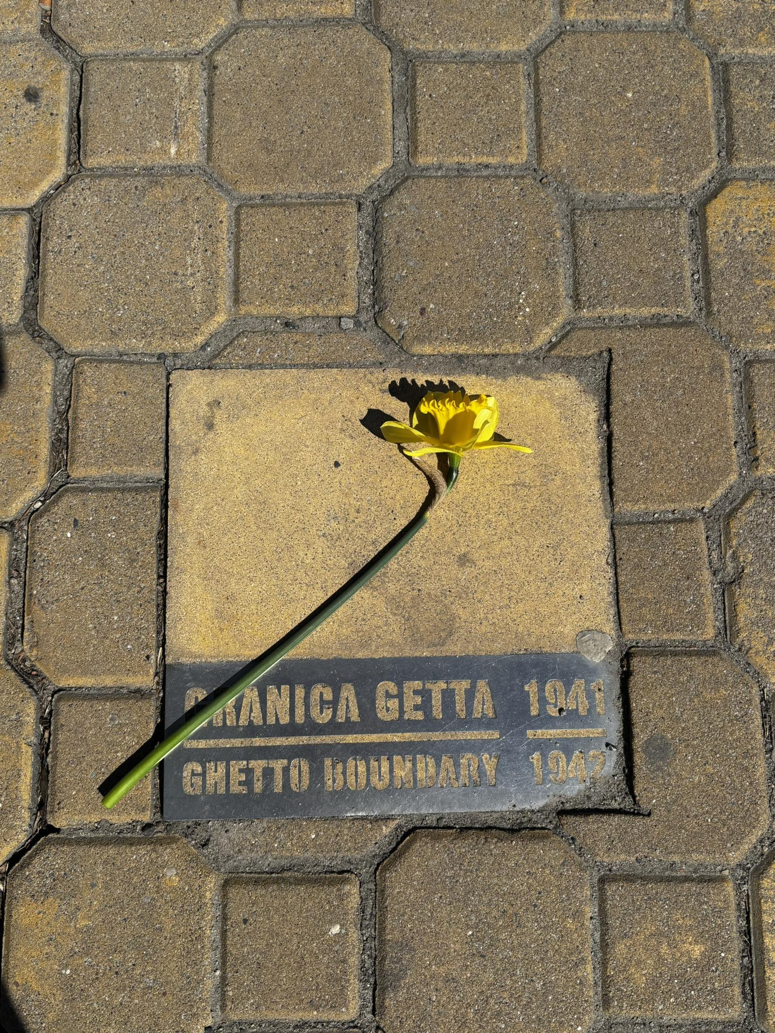 677991011 947094058199917 7898898979241006248 n