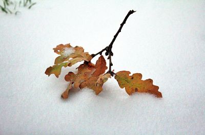 fot. s. Amata J. Nowaszewska CSFN / Family News Service