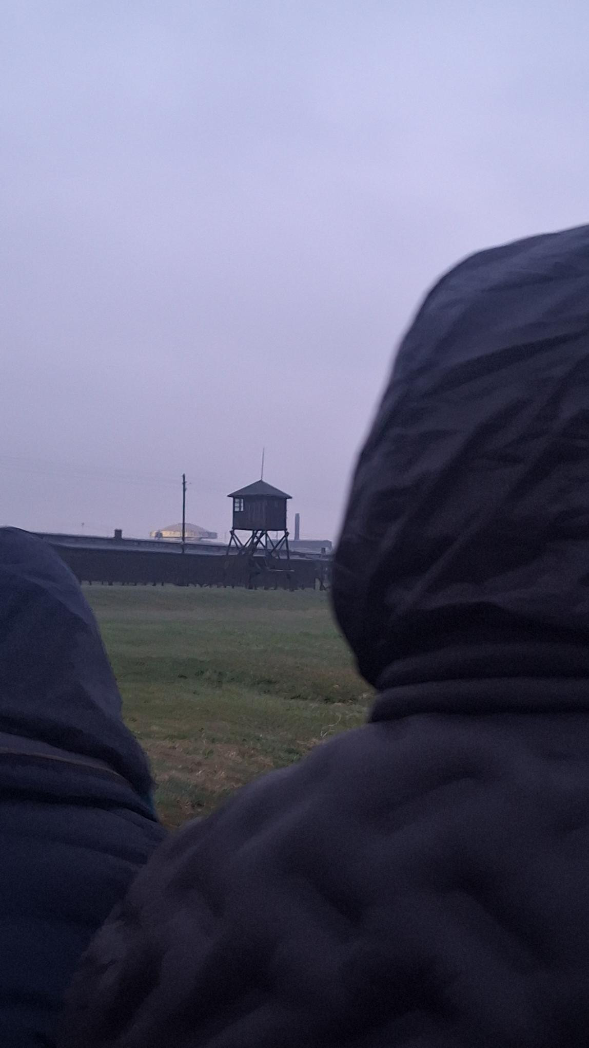 490707223 647474548161871 7658359256858004896 n